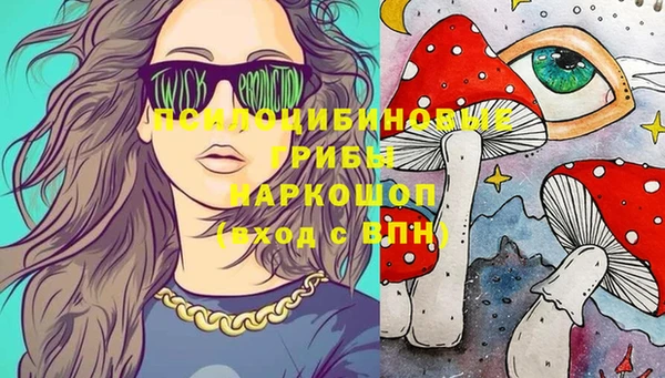 тгк Балахна