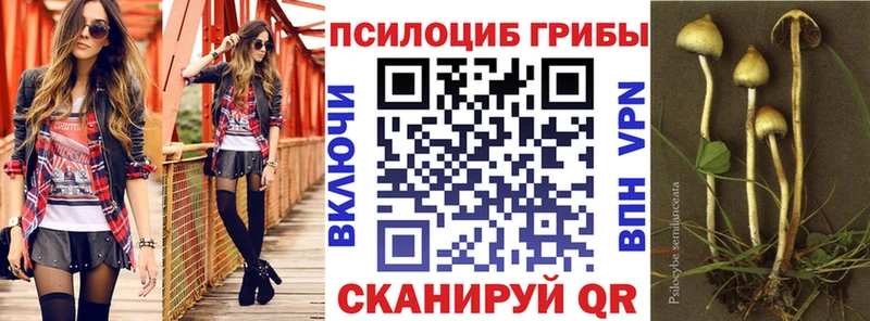 Псилоцибиновые грибы Cubensis Солигалич
